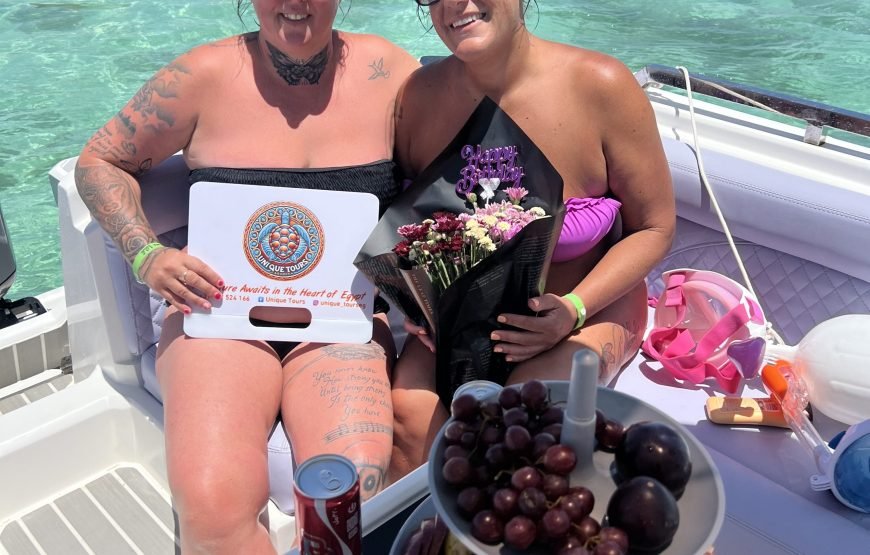 Speed Boat Private 4 hours watching Dolphins & Island visits