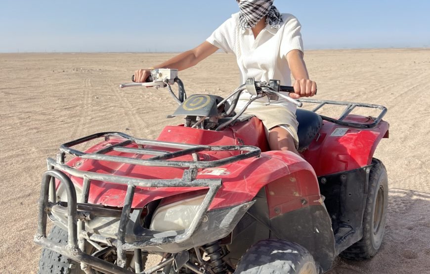Super Safari Tour