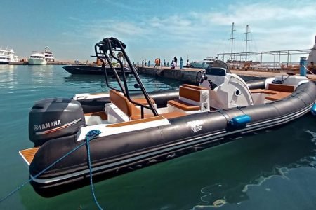 Speed Boat Private 4H guarantee Swimi with Dolphins