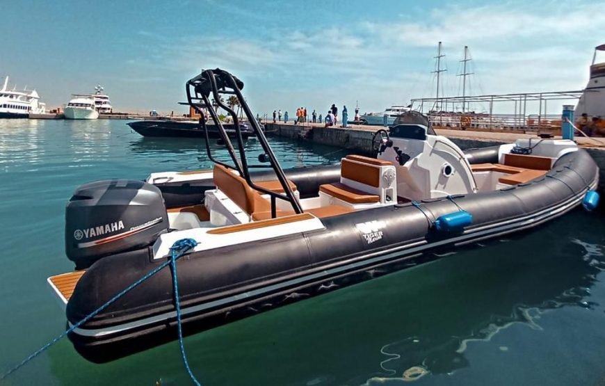 Speed Boat Private 4 hours watching Dolphins & Island visits