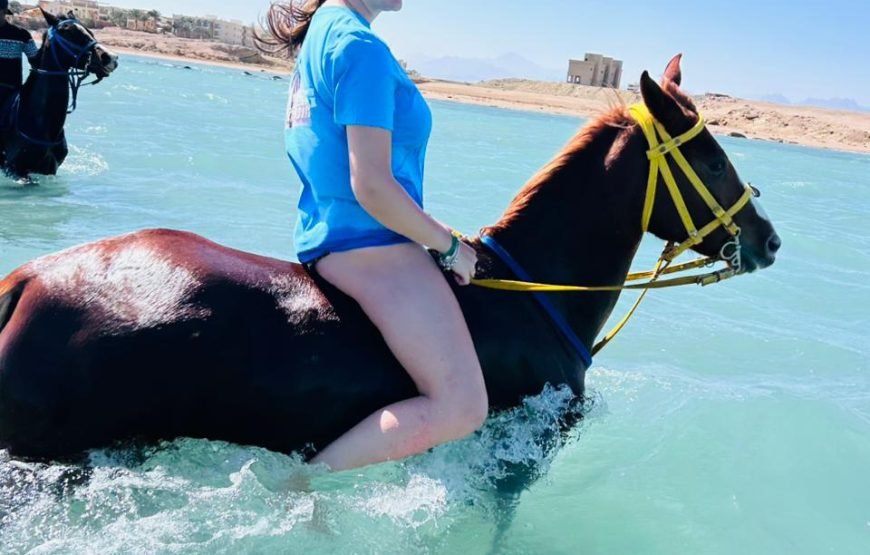Horseback Riding: Desert, Beach & Swim