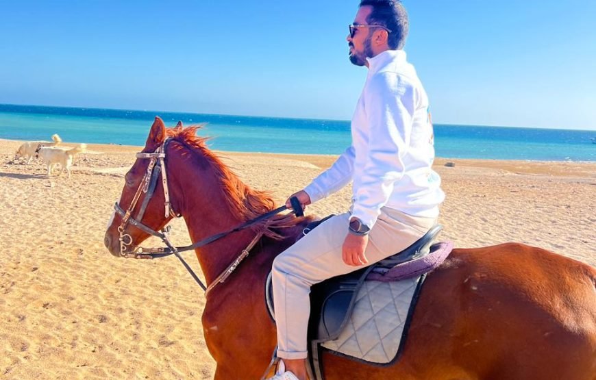 Horseback Riding: Desert, Beach & Swim