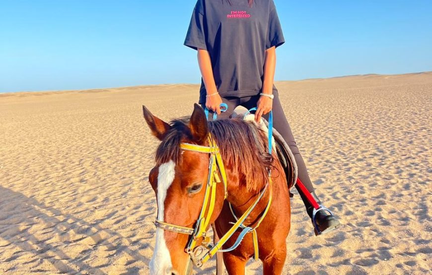 Horseback Riding: Desert, Beach & Swim