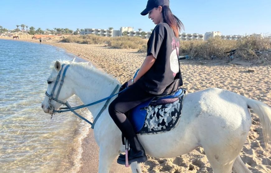 Horseback Riding: Desert, Beach & Swim