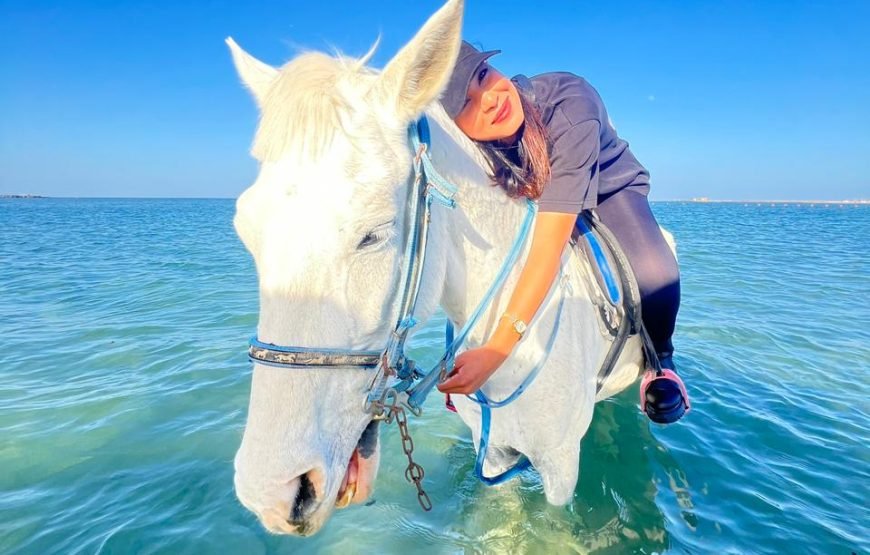 Horseback Riding: Desert, Beach & Swim
