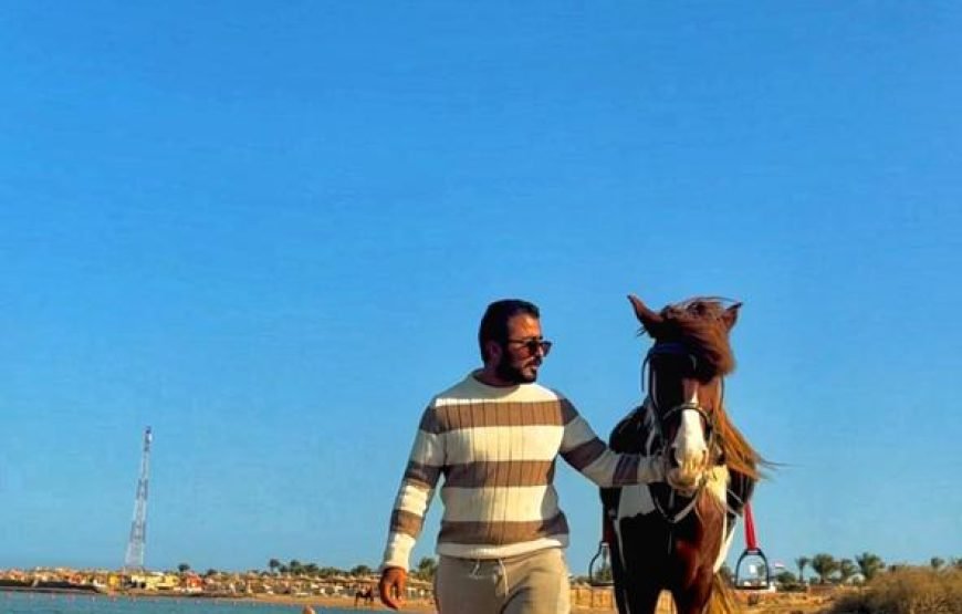 Horseback Riding: Desert, Beach & Swim