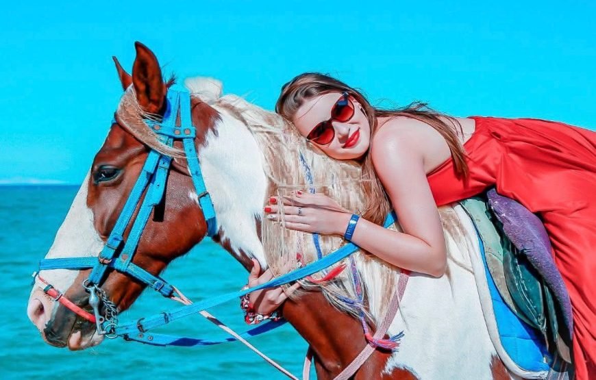 Horseback Riding: Desert, Beach & Swim
