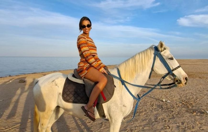 Horseback Riding: Desert, Beach & Swim