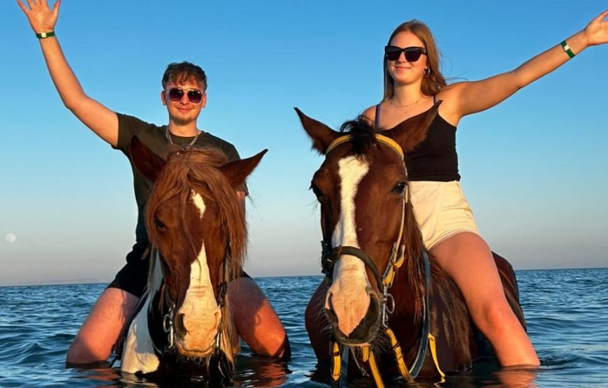 Horseback Riding: Desert, Beach & Swim