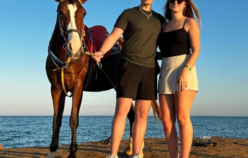 Horseback Riding: Desert, Beach & Swim