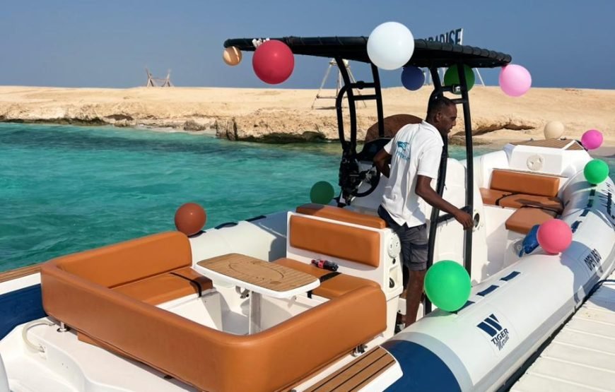 Speed Boat Private 4 hours watching Dolphins & Island visits