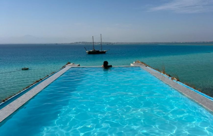 Speed Boat Private 4 hours watching Dolphins & Island visits