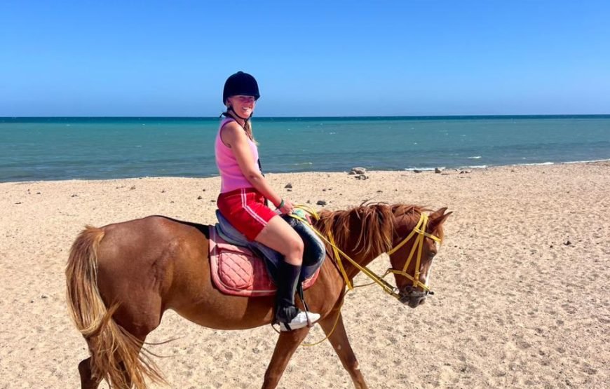 Horseback Riding: Desert, Beach & Swim