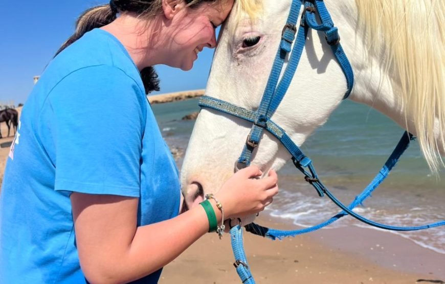 Horseback Riding: Desert, Beach & Swim