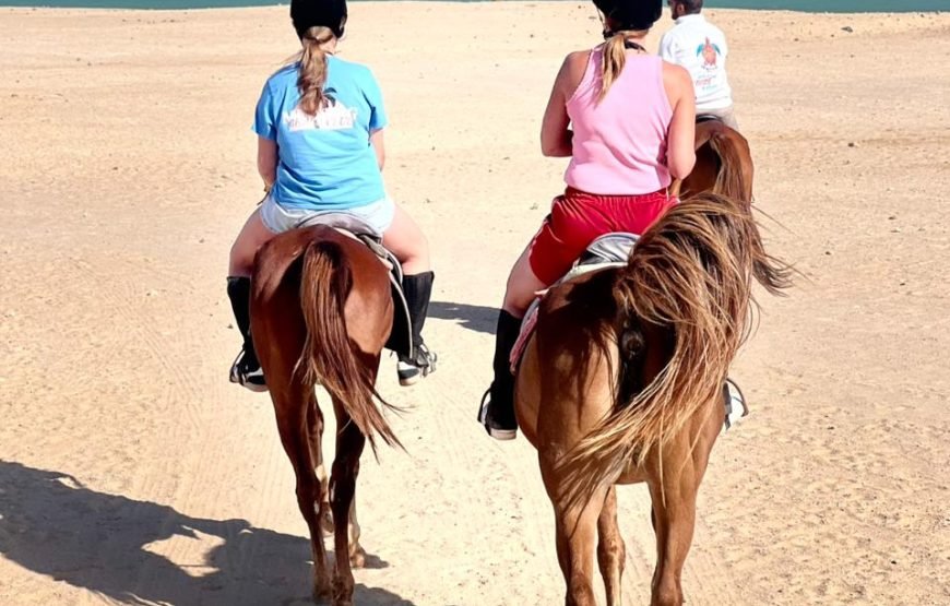 Horseback Riding: Desert, Beach & Swim