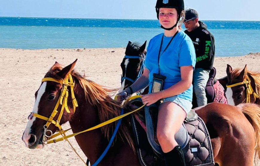 Horseback Riding: Desert, Beach & Swim
