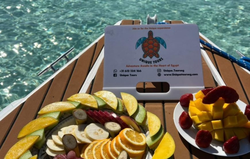 Speed Boat Private 4 hours watching Dolphins & Island visits