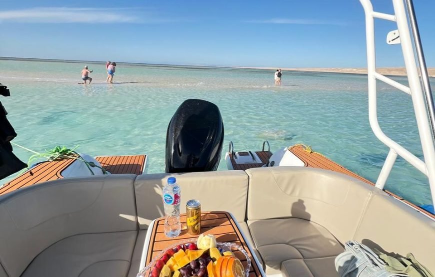 Speed Boat Private 4 hours watching Dolphins & Island visits