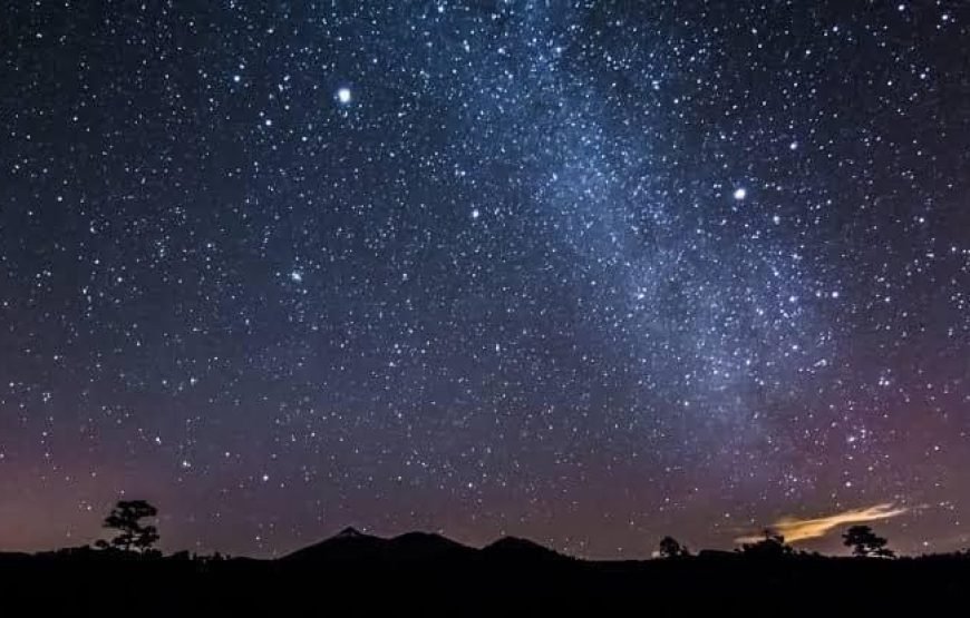 ATV QUAD, camel ,horse ride, oriental shows, BBQ dinner and Stargazing ALL IN ONE safari