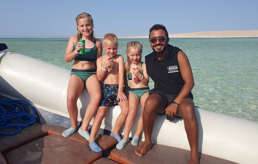 Speed Boat Private 4 hours watching Dolphins & Island visits