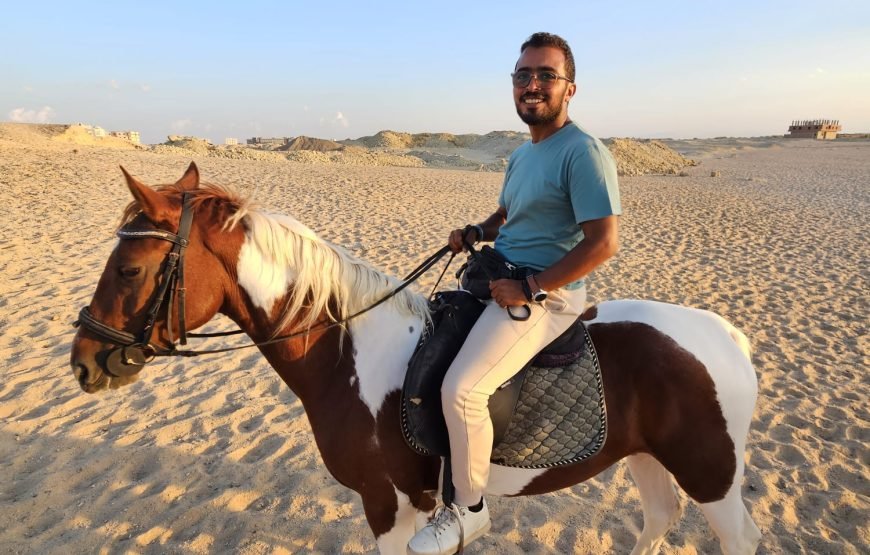 Horseback Riding: Desert, Beach & Swim
