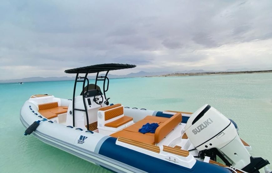 Speed Boat Private 4 hours watching Dolphins & Island visits