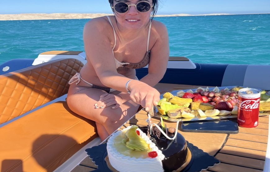 Speed Boat Private 4 hours watching Dolphins & Island visits