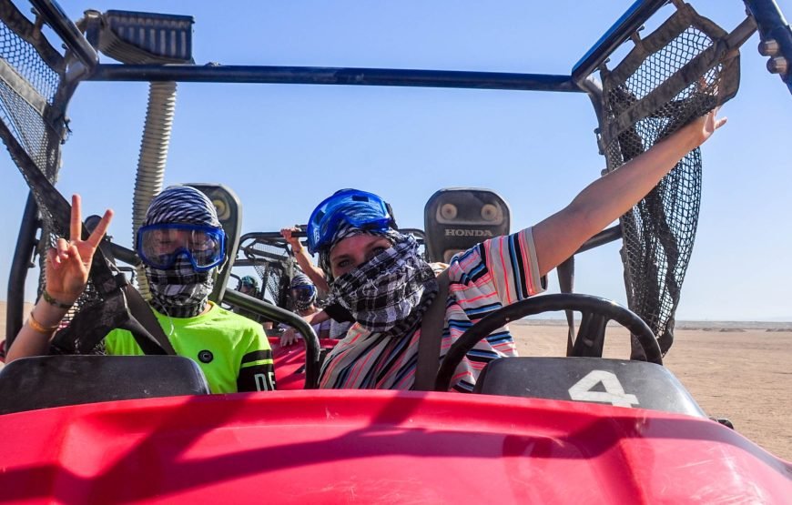 Private Buggy Safari Tour