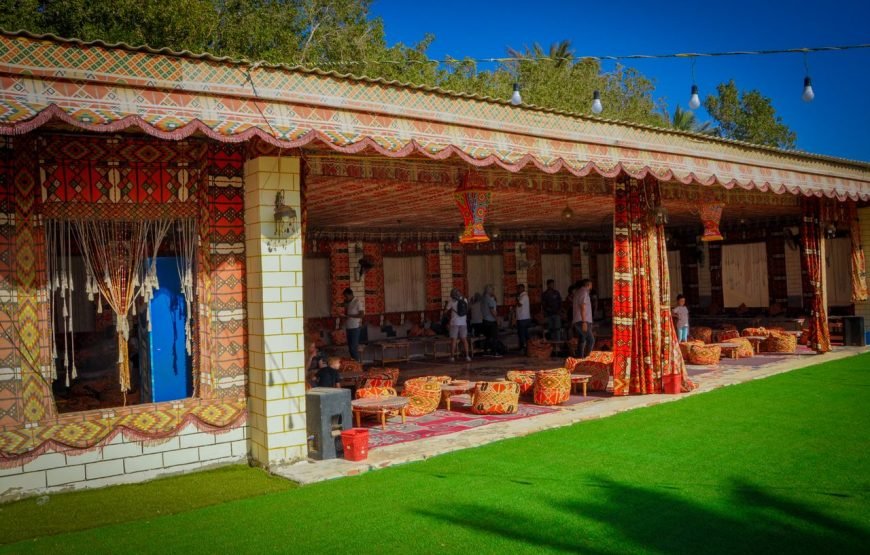 ATV QUAD, camel ,horse ride, oriental shows, BBQ dinner and Stargazing ALL IN ONE safari