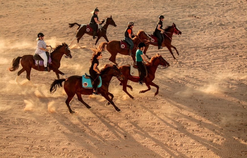 ATV QUAD, camel ,horse ride, oriental shows, BBQ dinner and Stargazing ALL IN ONE safari