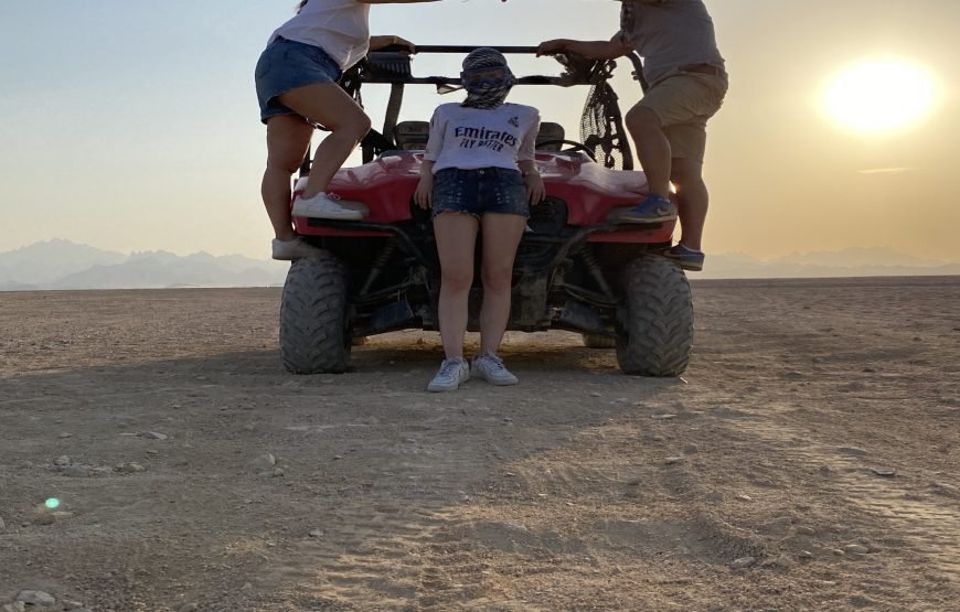 Private Buggy Safari Tour