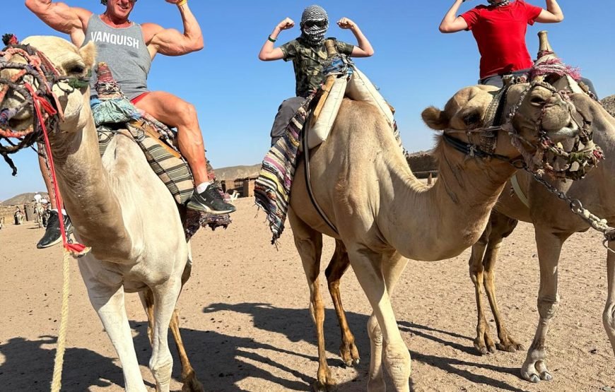 Super Safari Tour