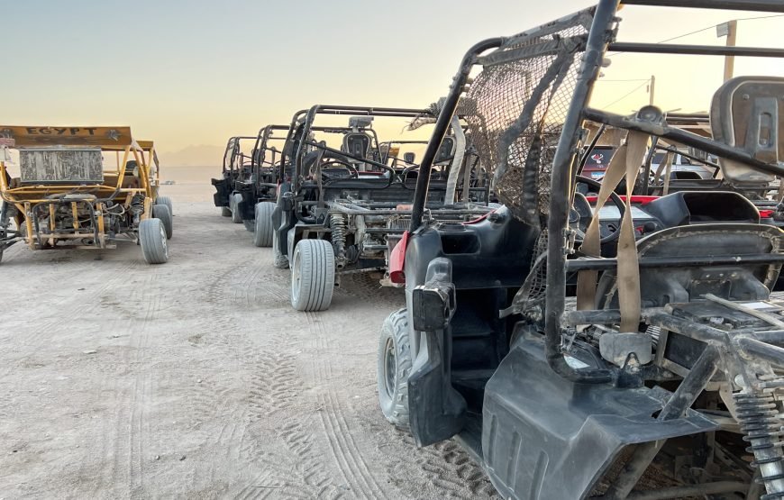 Super Safari Tour