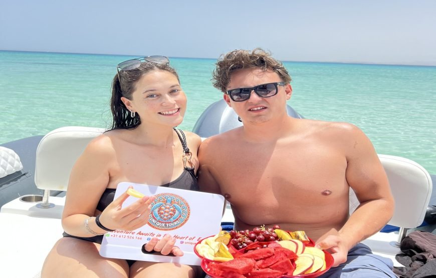 Speed Boat Private 4 hours watching Dolphins & Island visits