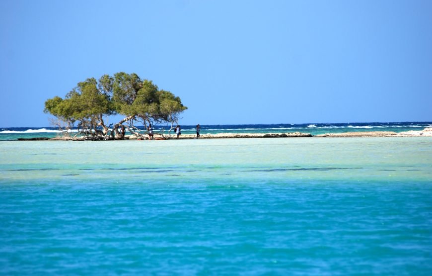 Qulaan Islands Boat Trip (Hamata) Marsa Alam