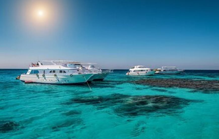 Sataya Dolphin Reef Boat Trip in Marsa Alam