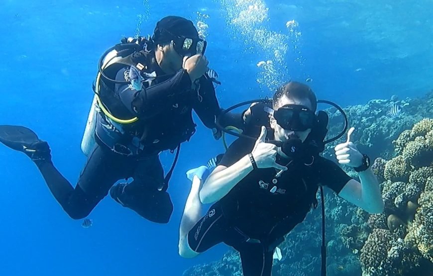 Daily Scuba Diving Full Day Boat Trip
