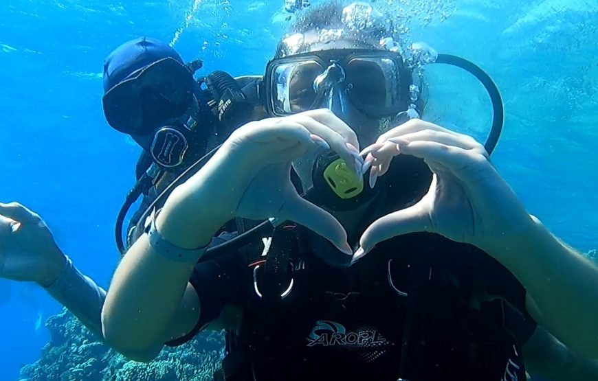 Daily Scuba Diving Full Day Boat Trip