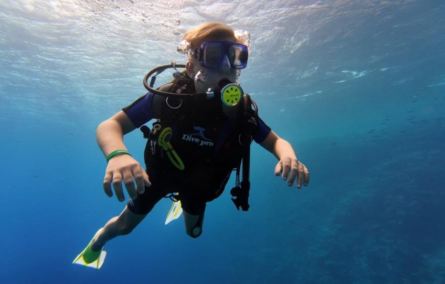 Daily Scuba Diving Full Day Boat Trip