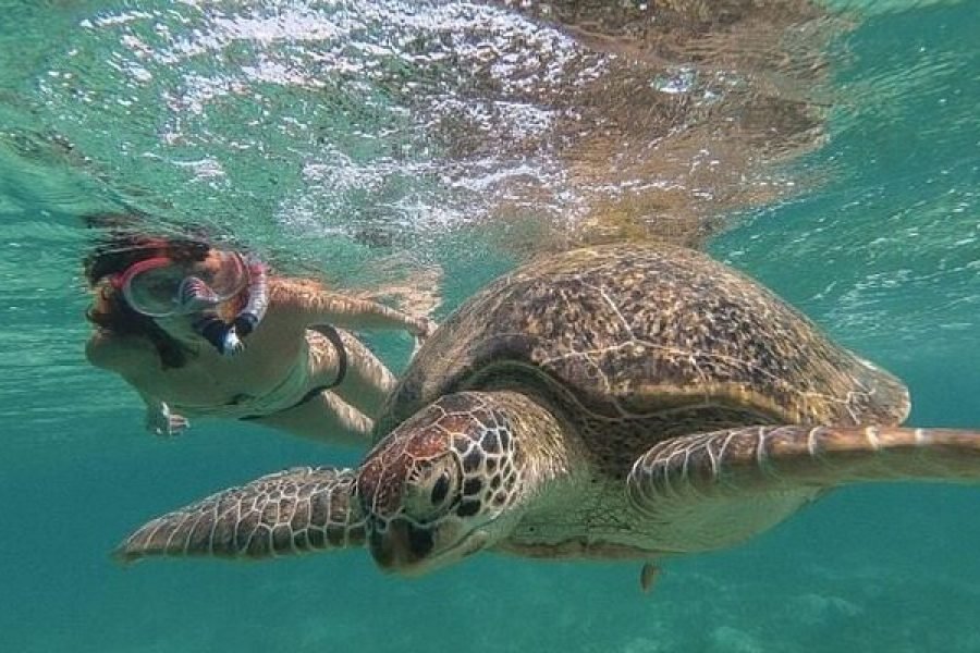 Private Abu Dabbab Bay from Hurghada