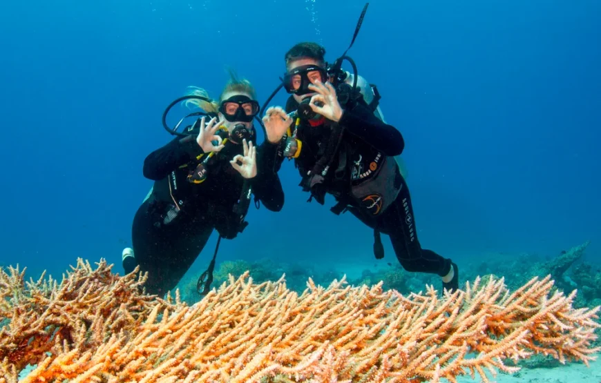 Scuba Diving Full Day Boat Trip for Beginners