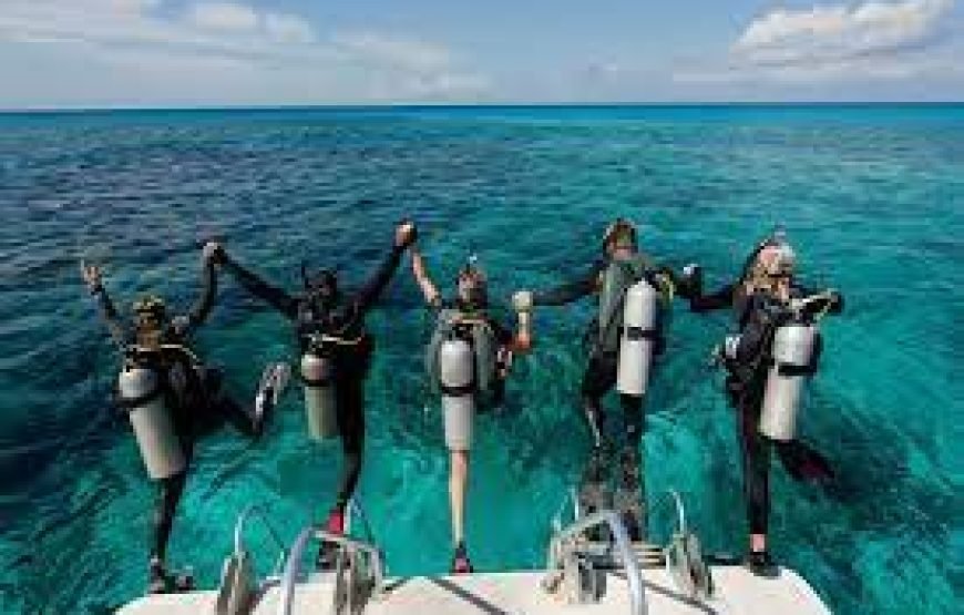 Daily Scuba Diving Full Day Boat Trip