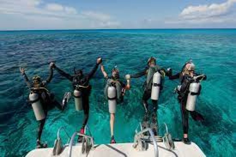 Daily Scuba Diving Full Day Boat Trip