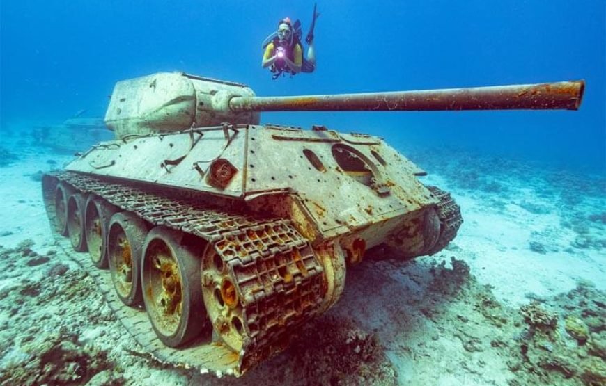 Daily Scuba Diving Full Day Boat Trip