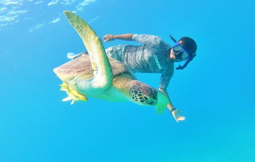 Private Abu Dabbab Bay from Hurghada