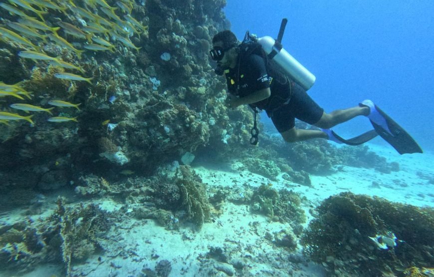 Scuba Diving Full Day Boat Trip for Beginners