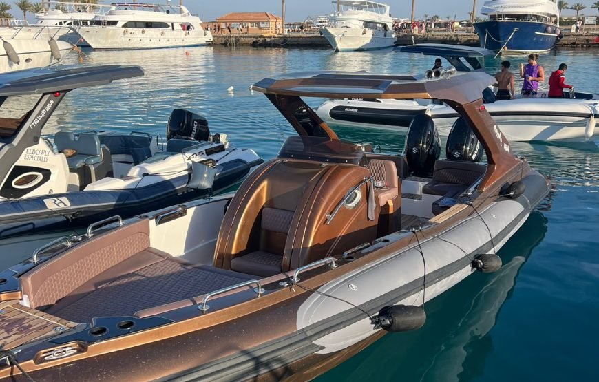 Speed Boat Private 4H guarantee Swimi with Dolphins