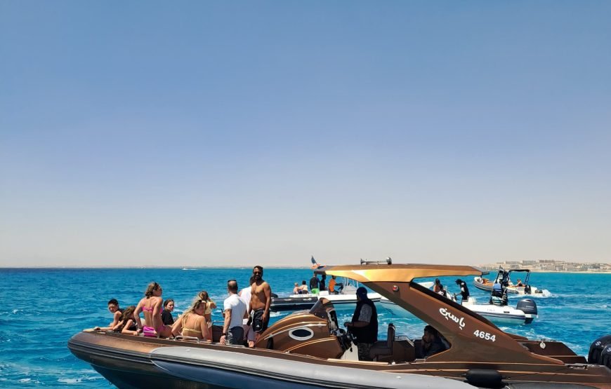 Speed Boat Private 4H guarantee Swimi with Dolphins