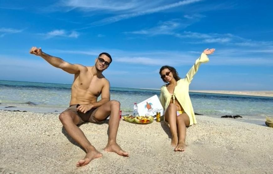 Speed Boat Private 4 hours watching Dolphins & Island visits