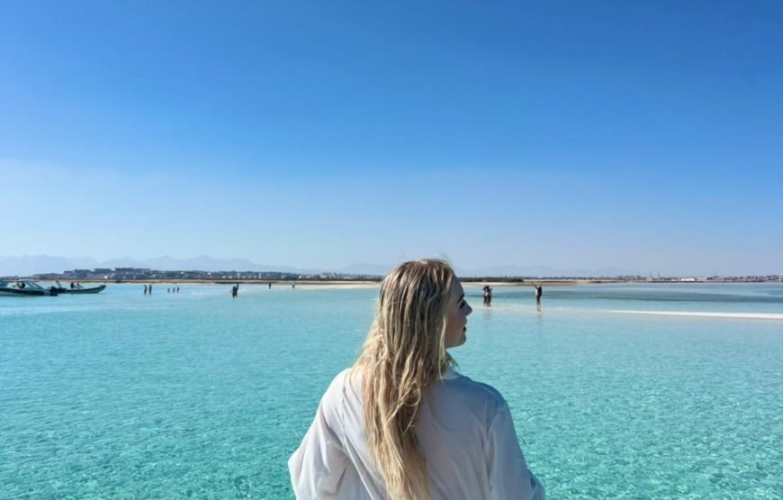 Speed Boat Private 4 hours watching Dolphins & Island visits